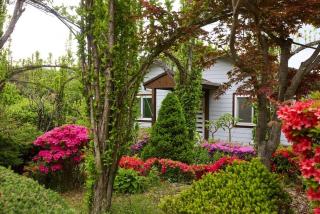 Bonghwa Power Plant Guesthouse - Bonghwa - 8