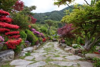 Bonghwa Power Plant Guesthouse - Bonghwa - 1