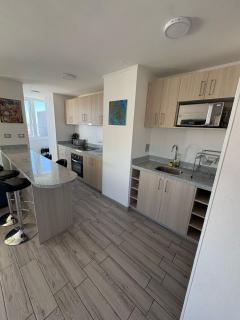 1701 PentHouse con gran terraza nuevo 2D 2B - Concepción - 8
