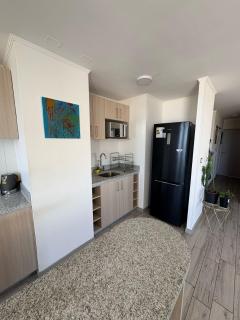 1701 PentHouse con gran terraza nuevo 2D 2B - Concepción - 6
