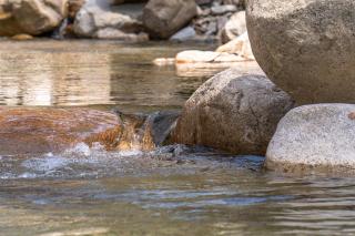 Jecheon Sanjoong Dayeon Pension -  - 3