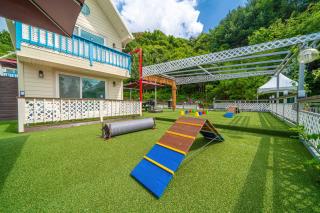 Chuncheon Puppy Day Dog Pension - 3