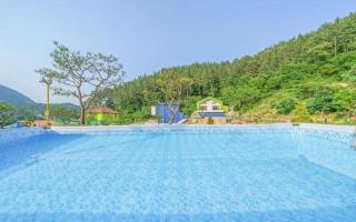 Muju Inca Dog Pension - 8