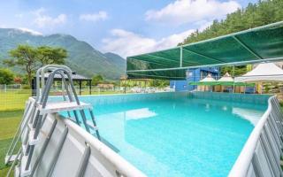 Muju Inca Dog Pension - 7