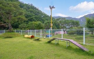 Muju Inca Dog Pension - 6