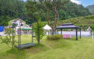 Muju Inca Dog Pension - 4