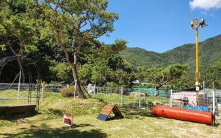 Muju Inca Dog Pension - 1