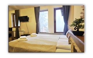 Grand Studio B27 - Pamporovo - 8