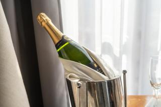 Hotel Boutique Casa del Jardín Aguascalientes - 4