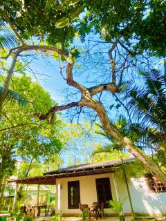 Serandip villa - Habaraduwa - 9
