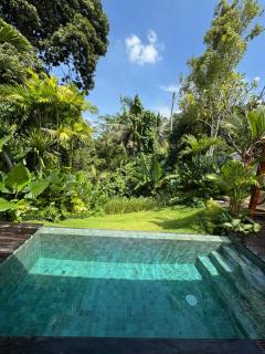 Romansa villa - Ubud - 9