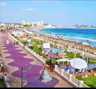 الاسكندريه المعموره الشاطئ - Alexandria - 0