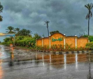 الاسكندريه المعموره الشاطئ - Alexandria - 1