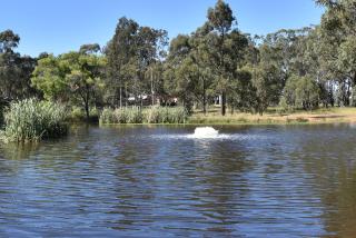 Blaxlands Homestead with Hot Tub walk to Concerts, Weddings and Wineries - Pokolbin - 1