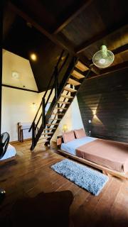 The wilds Sinharaja - 2