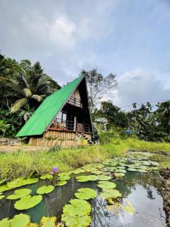 The wilds Sinharaja - Deniyaya - 0