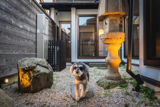 松江日和 - Matsue - 4