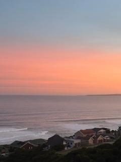 Lilies & Leopard's - Mossel Bay - 9