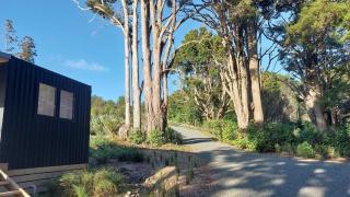 Back to Nature in Mangawhai - Mangawhai - 2