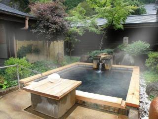 Totsukawa Onsen HOTEL SUBARU - Totsukawa - 3