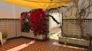 Patios de la Carmela - 9