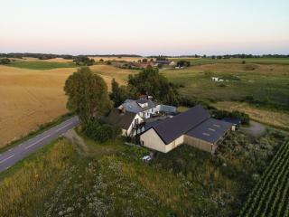 Spacious farmhouse with a greenhouse on Österlen - Tomelilla - 3