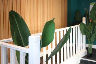 Dojo House - Nottingham - 9