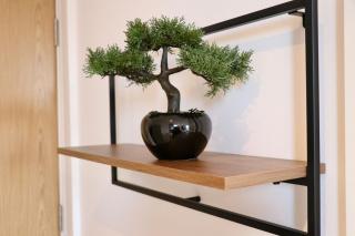Dojo House - Nottingham - 4