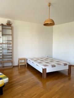 A large 1 bedroom apartment with an available private parking - Praga - 9