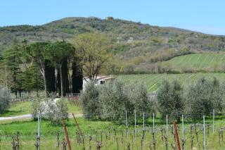 Agriturismo Barcavecchia - Castel Viscardo - 0