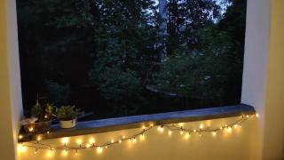 Roßwein Privatzimmer - Roßwein - 1
