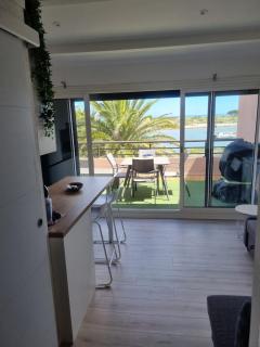 Marina 2 , appartement vue mer exceptionnelle - Saint-Cyprien - 7