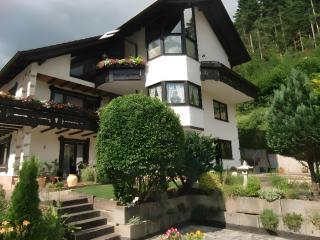 Ferienwohnung Uli Schätzle - Hornberg - 0