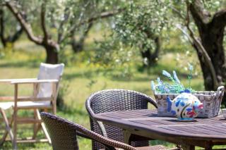 ZeusPlace Olympus Olive Country House 2 - Leptokarya - 8