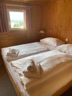 Chalet Löwenangerhütte auf 1250 Metern - Hohentauern - 3