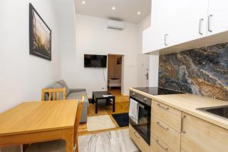 Top Apart close to city center - Viena - 7