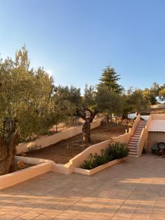 OLIVE&VIEW - Nea Moudania - 6