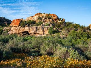 Yamu Lifestyle Resort - Clanwilliam - 7