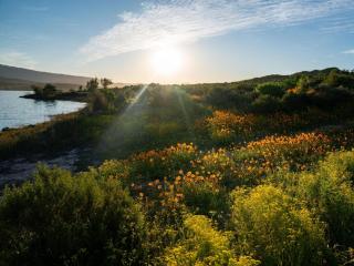 Yamu Lifestyle Resort - Clanwilliam - 5