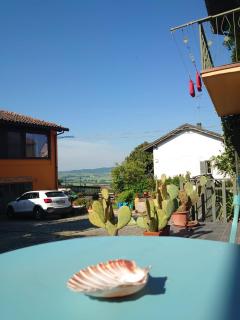 Casa dei Libri nel Monferrato - Pontestura - 2