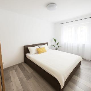 Casiana Apartments - Timişoara - 8