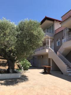 OLIVE&VIEW - Nea Moudania - 7