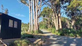 Back to Nature in Mangawhai - Mangawhai - 4