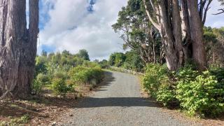 Back to Nature in Mangawhai - Mangawhai - 2