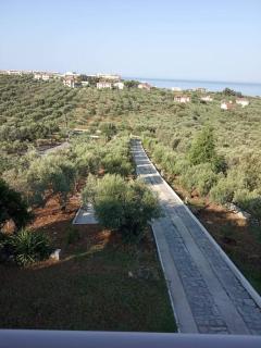 OLIVE&VIEW - Nea Moudania - 1