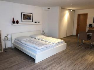 Ferienwohnung Riesterer - Freiburg im Breisgau - 0