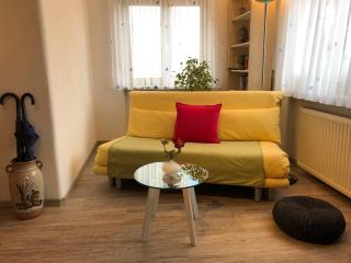 Ferienwohnung Riesterer - Freiburg im Breisgau - 5
