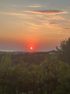 OLIVE&VIEW - Nea Moudania - 9