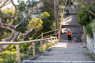 Ocean Views at The Holkham Fairy Bower - Sydney - 9
