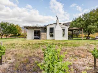 Vineyard House - Worcester - 7